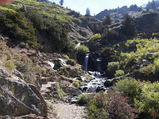 Franklin Creek, Mineral King, Sequoia